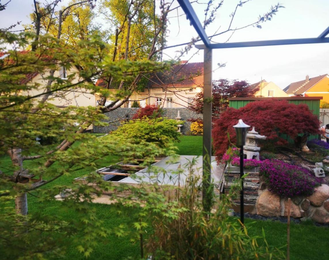 Haus Laila Villa Heidesee Exteriör bild
